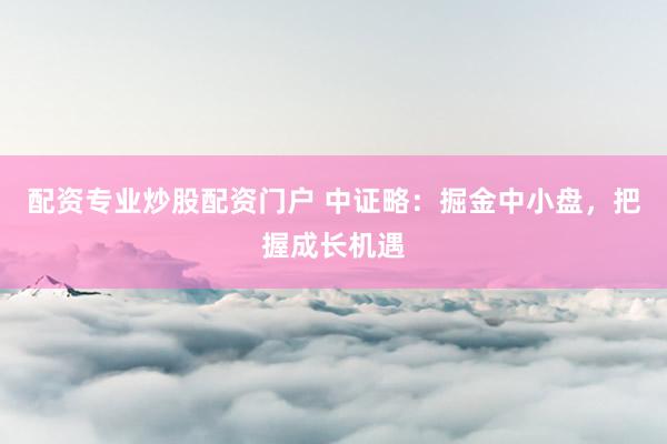 配资专业炒股配资门户 中证略:掘金中小盘,把握成长机遇