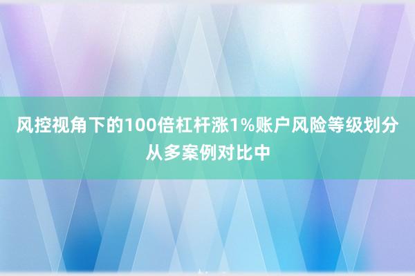 风控视角下的100倍杠杆涨1%账户风险等级划分从多案例对比中