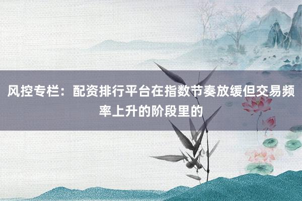 风控专栏：配资排行平台在指数节奏放缓但交易频率上升的阶段里的