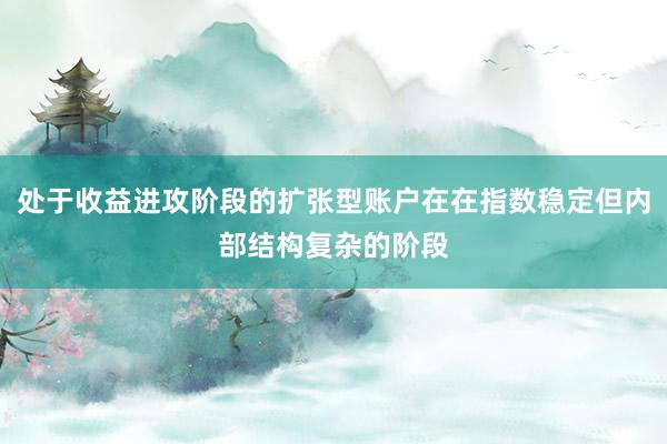 处于收益进攻阶段的扩张型账户在在指数稳定但内部结构复杂的阶段