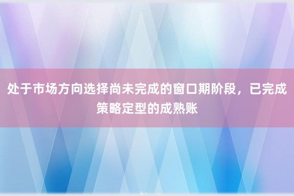 处于市场方向选择尚未完成的窗口期阶段,已完成策略定型的成熟账
