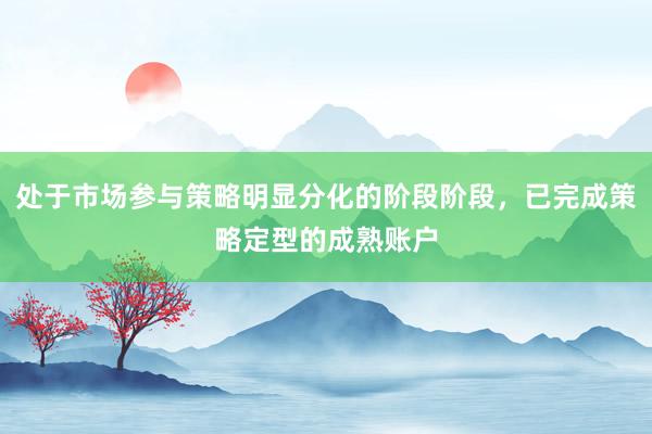 处于市场参与策略明显分化的阶段阶段，已完成策略定型的成熟账户