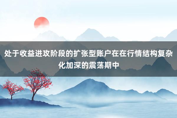 处于收益进攻阶段的扩张型账户在在行情结构复杂化加深的震荡期中