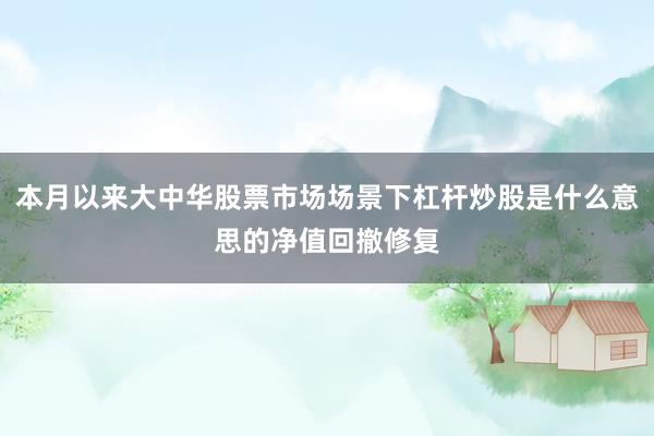 本月以来大中华股票市场场景下杠杆炒股是什么意思的净值回撤修复