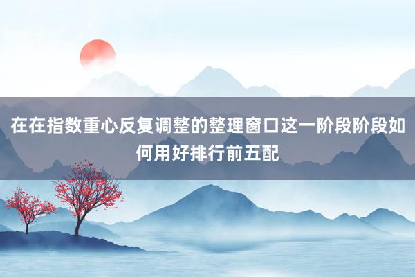 在在指数重心反复调整的整理窗口这一阶段阶段如何用好排行前五配