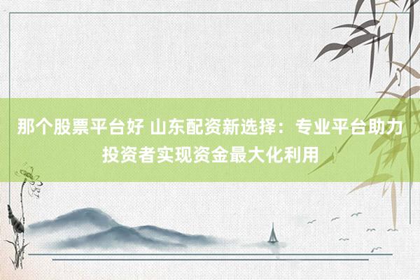 那个股票平台好 山东配资新选择：专业平台助力投资者实现资金最大化利用